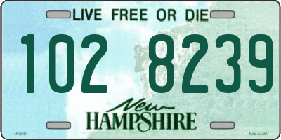 NH license plate 1028239