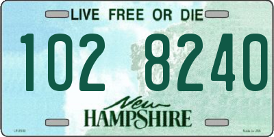 NH license plate 1028240