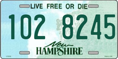 NH license plate 1028245