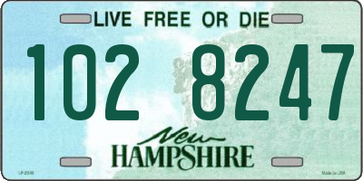 NH license plate 1028247