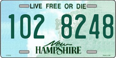 NH license plate 1028248