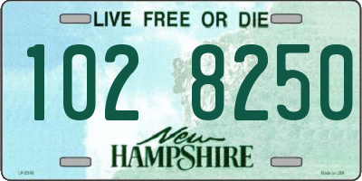 NH license plate 1028250