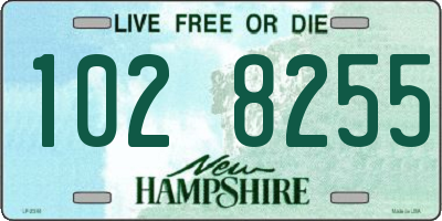 NH license plate 1028255
