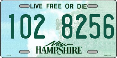 NH license plate 1028256