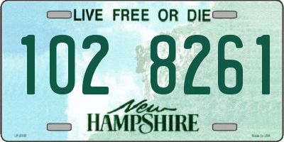 NH license plate 1028261