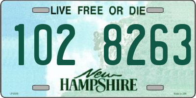 NH license plate 1028263