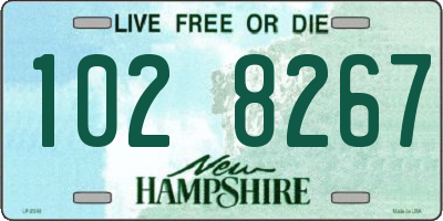 NH license plate 1028267