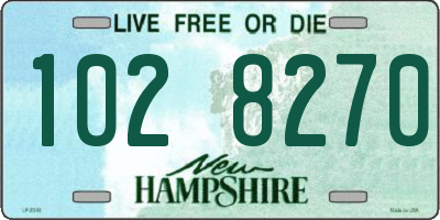 NH license plate 1028270