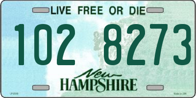 NH license plate 1028273