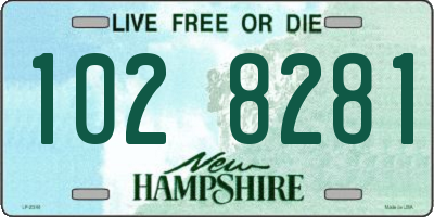 NH license plate 1028281