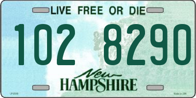 NH license plate 1028290