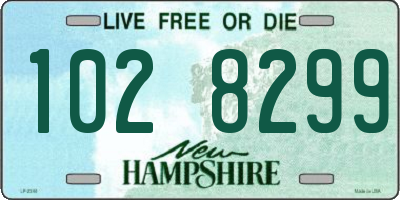 NH license plate 1028299