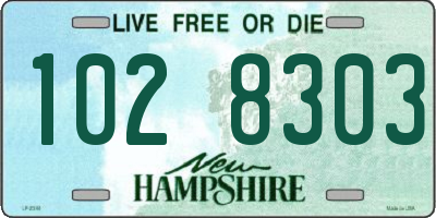 NH license plate 1028303