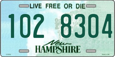 NH license plate 1028304
