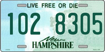 NH license plate 1028305