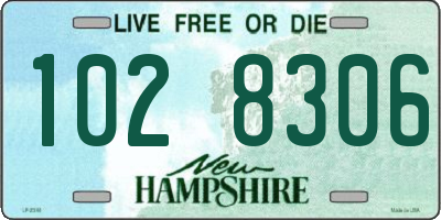NH license plate 1028306