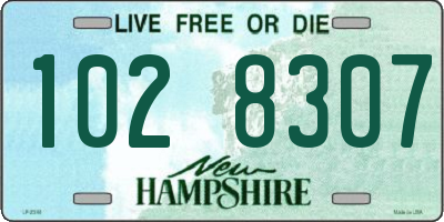 NH license plate 1028307