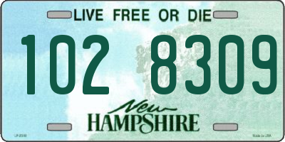 NH license plate 1028309