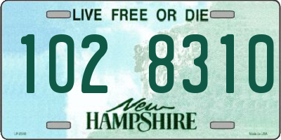 NH license plate 1028310