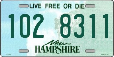 NH license plate 1028311