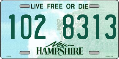NH license plate 1028313