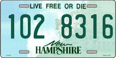 NH license plate 1028316