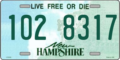 NH license plate 1028317
