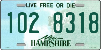 NH license plate 1028318