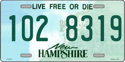 NH license plate 1028319
