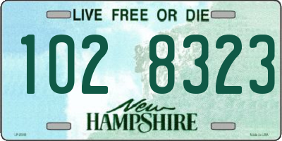 NH license plate 1028323