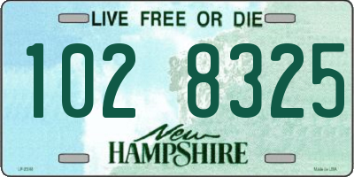 NH license plate 1028325