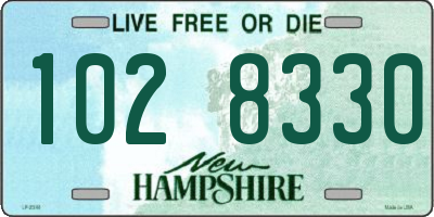NH license plate 1028330