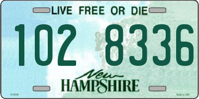 NH license plate 1028336