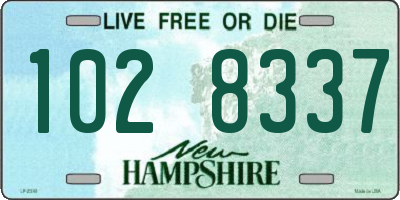 NH license plate 1028337