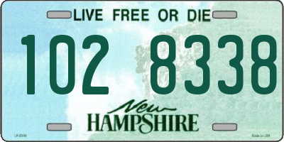 NH license plate 1028338
