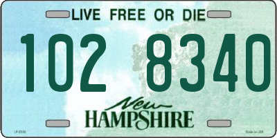 NH license plate 1028340