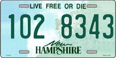 NH license plate 1028343