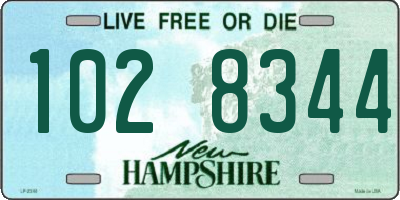 NH license plate 1028344