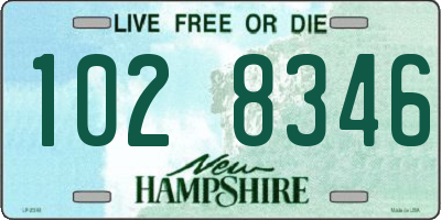 NH license plate 1028346