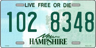 NH license plate 1028348
