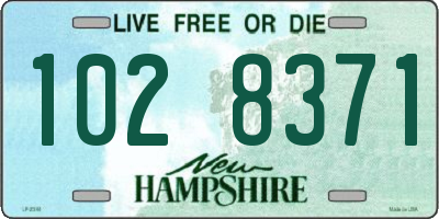 NH license plate 1028371