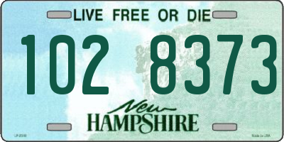 NH license plate 1028373