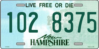 NH license plate 1028375