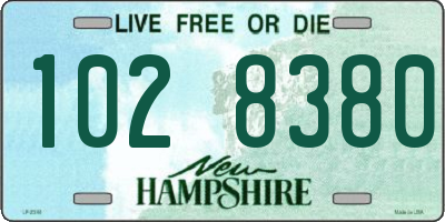 NH license plate 1028380