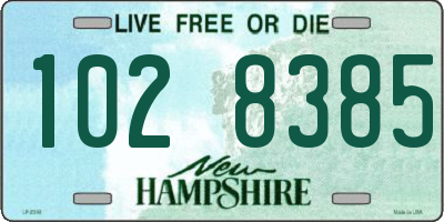 NH license plate 1028385