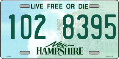 NH license plate 1028395