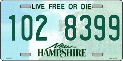 NH license plate 1028399