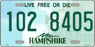NH license plate 1028405