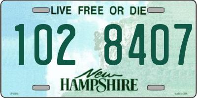 NH license plate 1028407