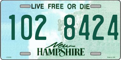 NH license plate 1028424